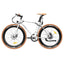 Fafrees F1 elektriskais velosipēds 250W