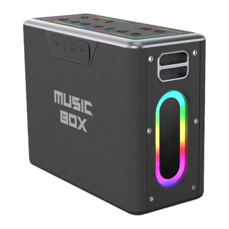 Skaļrunis HiFuture Music Box Bluetooth + 2 mikrofoni