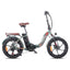 Fafrees F20 PRO elektriskais velosipēds 18Ah
